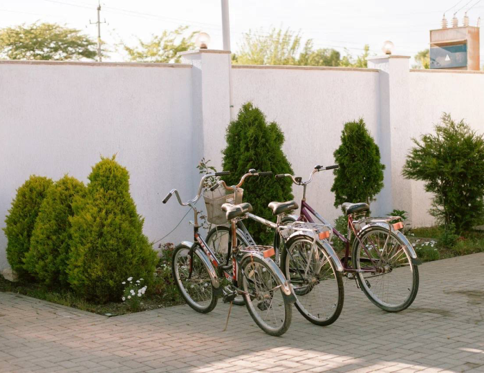 Услуги и развлечения - Отель «Три Павлина» Гагра