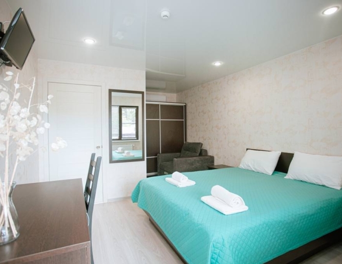 Полулюкс 2-местный 1-комнатный - Отель «Три Павлина» Гагра